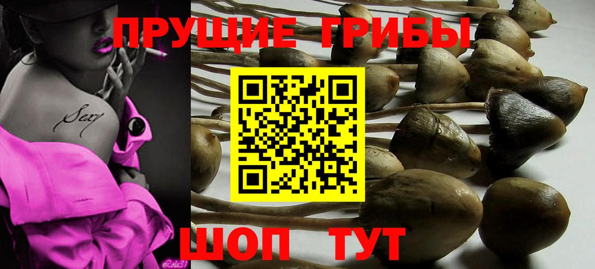 Псилоцибиновые грибы MAGIC MUSHROOMS  Вход с VPN  Прохладный 